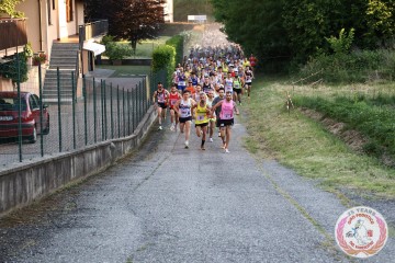 IMG_3313.jpg