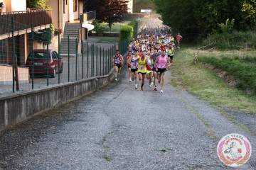 IMG_3316.jpg
