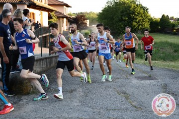 IMG_3334.jpg