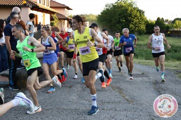 IMG_3354.jpg