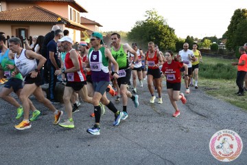 IMG_3379.jpg