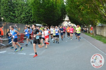 DSC_2962.jpg