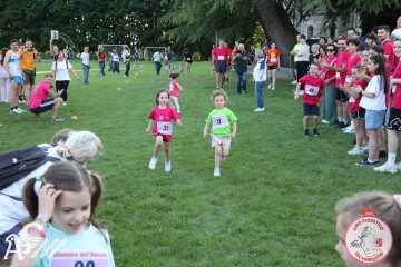 IMG_1233.jpg