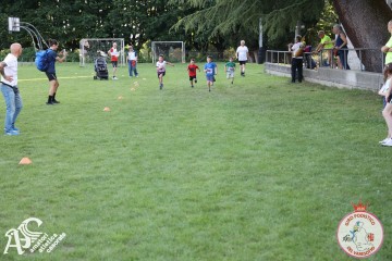 IMG_1250.jpg