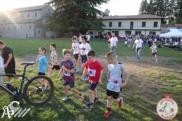 IMG_1330.jpg