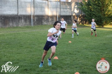 IMG_1339.jpg