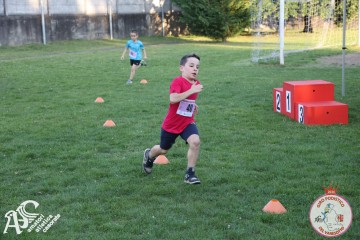 IMG_1350.jpg