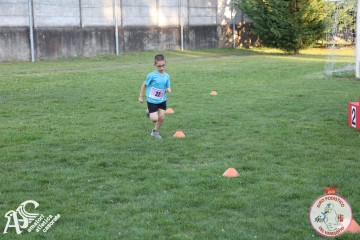 IMG_1351.jpg