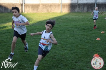 IMG_1361.jpg