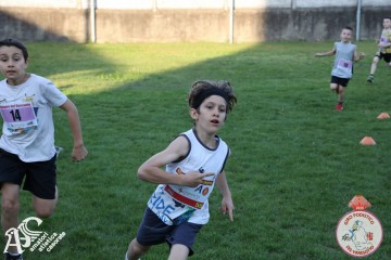 IMG_1362.jpg