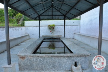 DSC_0437.jpg