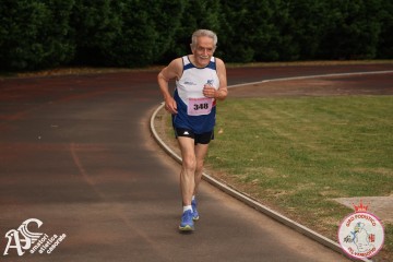 IMG_4795.jpg
