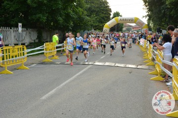 DSC_3731.jpg