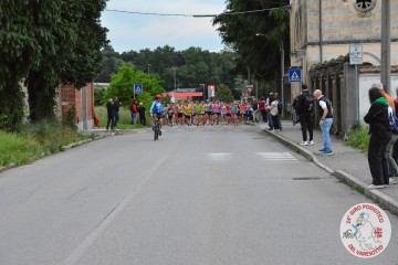 DSC_1699.jpg