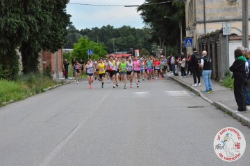DSC_1702.jpg