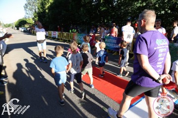 IMG_6439.jpg
