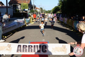 IMG_6452.jpg