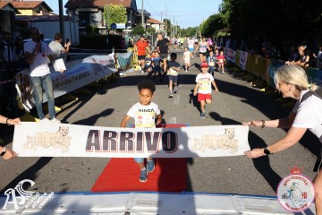 IMG_6454.jpg