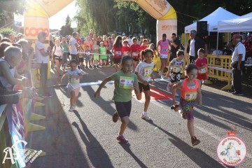 IMG_6506.jpg