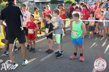 IMG_6587.jpg