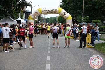 IMG_6564.jpg