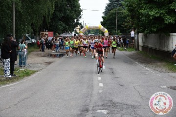 IMG_6574.jpg