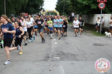 IMG_6751.jpg