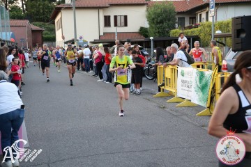 IMG_2223.jpg
