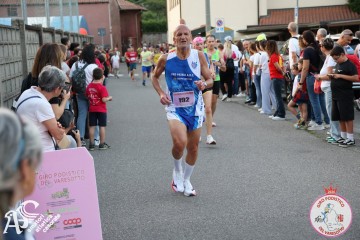 IMG_2239.jpg