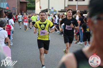 IMG_2262.jpg