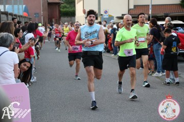 IMG_2293.jpg
