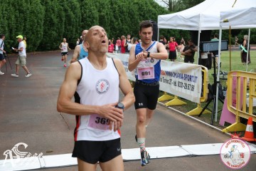 IMG_3778.jpg