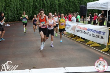 IMG_3800.jpg