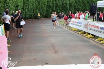 IMG_3817.jpg