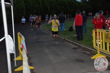 DSC_2017.jpg