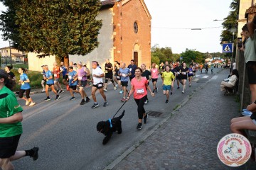 IMG_1905.jpg
