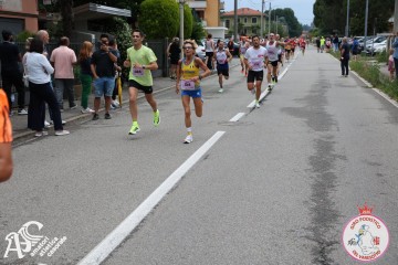 IMG_5800.jpg