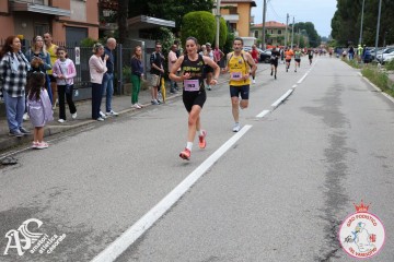 IMG_5881.jpg