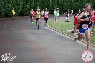 IMG_3871.jpg