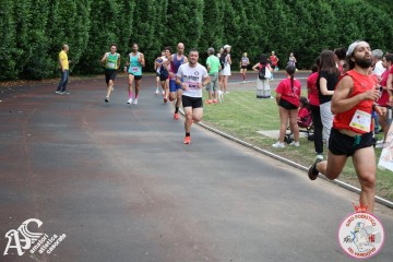 IMG_3879.jpg