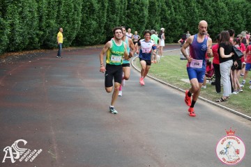 IMG_3882.jpg