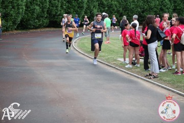IMG_3929.jpg