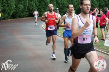 IMG_3954.jpg