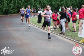 IMG_3960.jpg
