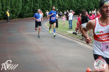 IMG_3995.jpg