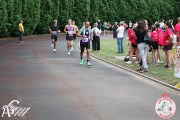 IMG_4004.jpg