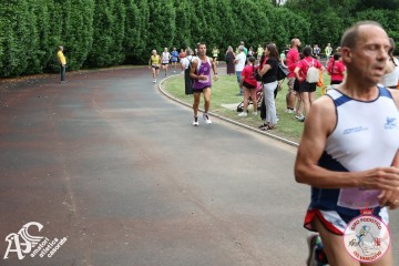 IMG_4115.jpg