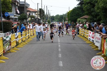 IMG_6316.jpg