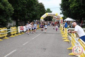 IMG_6355.jpg