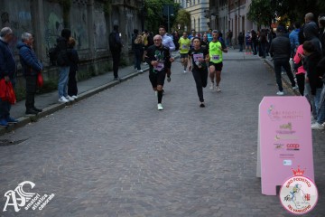 IMG_0764.jpg